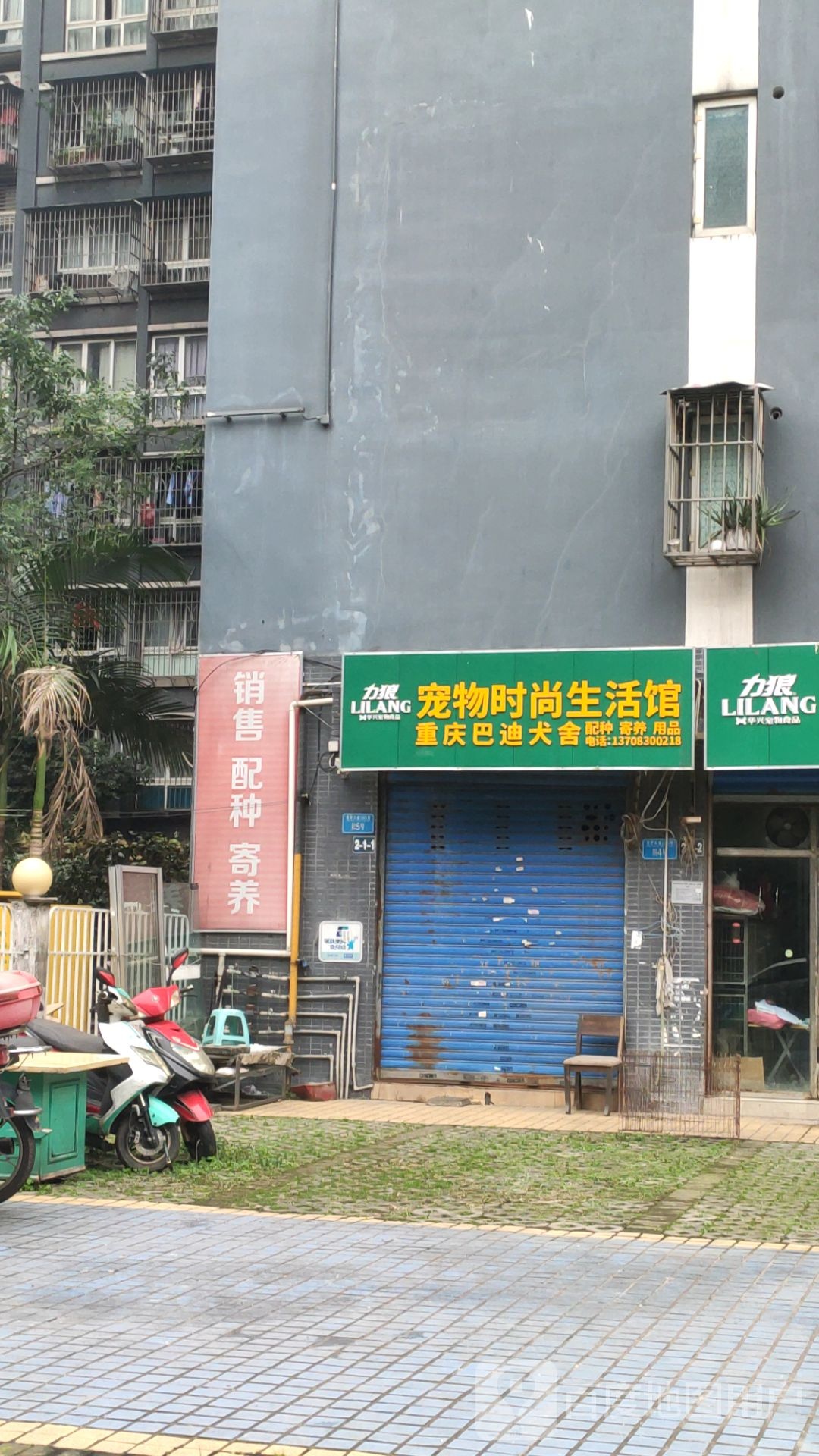 宠物时尚生活管
