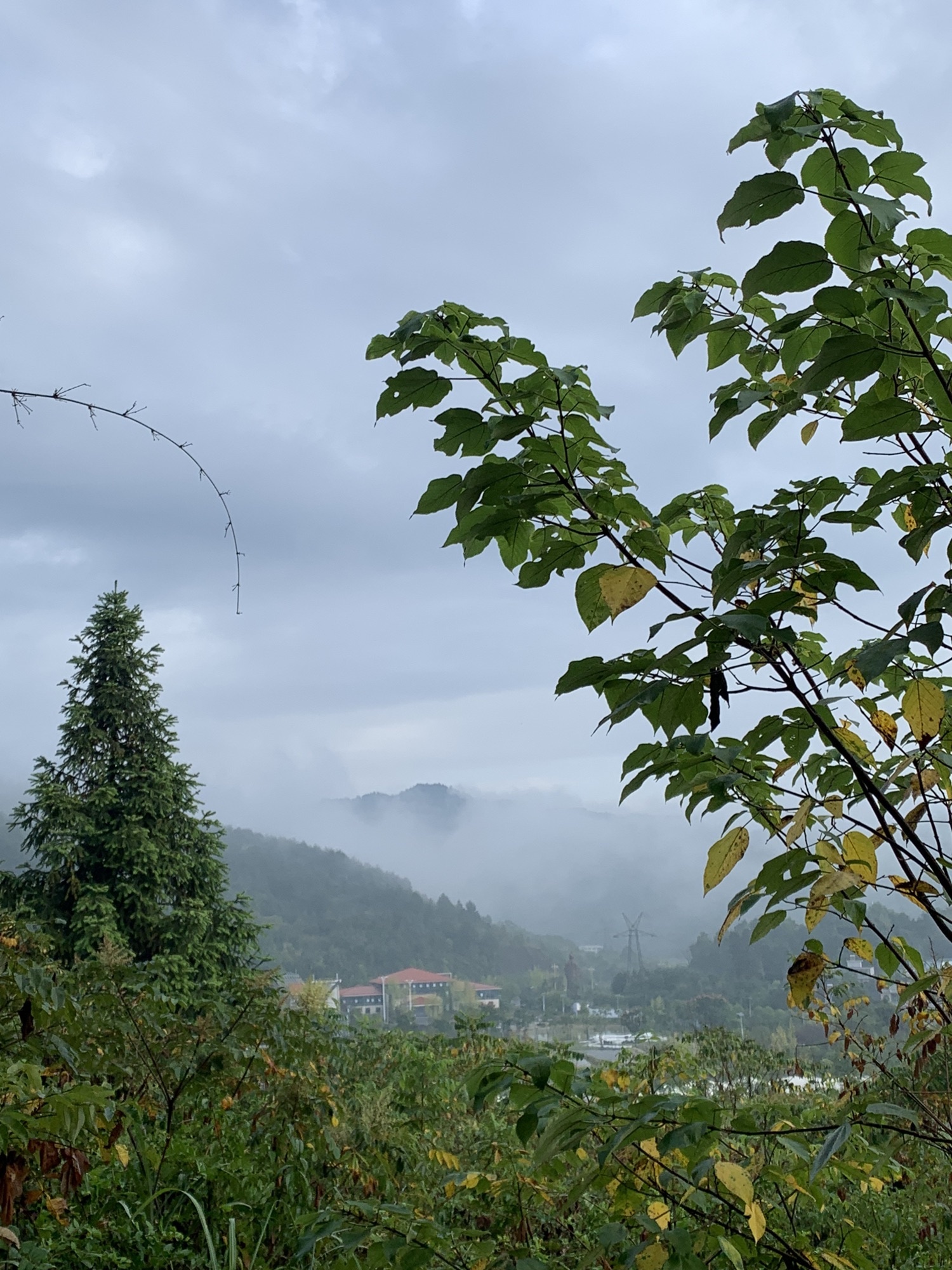 紫林山国家森林公园