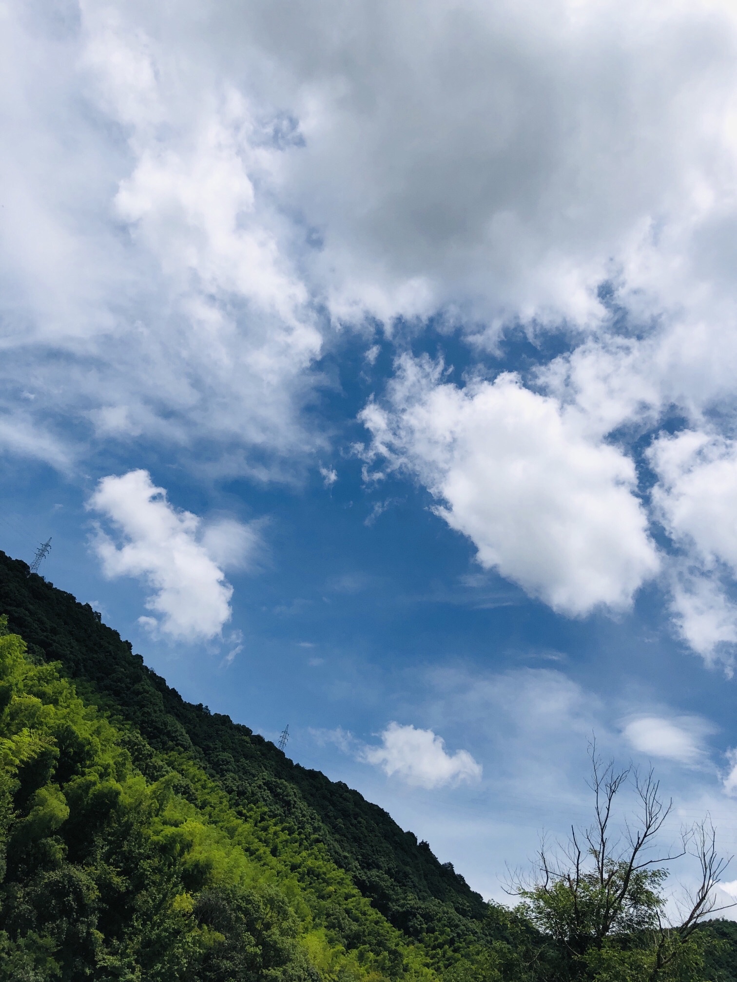 宁海森林温泉度假村