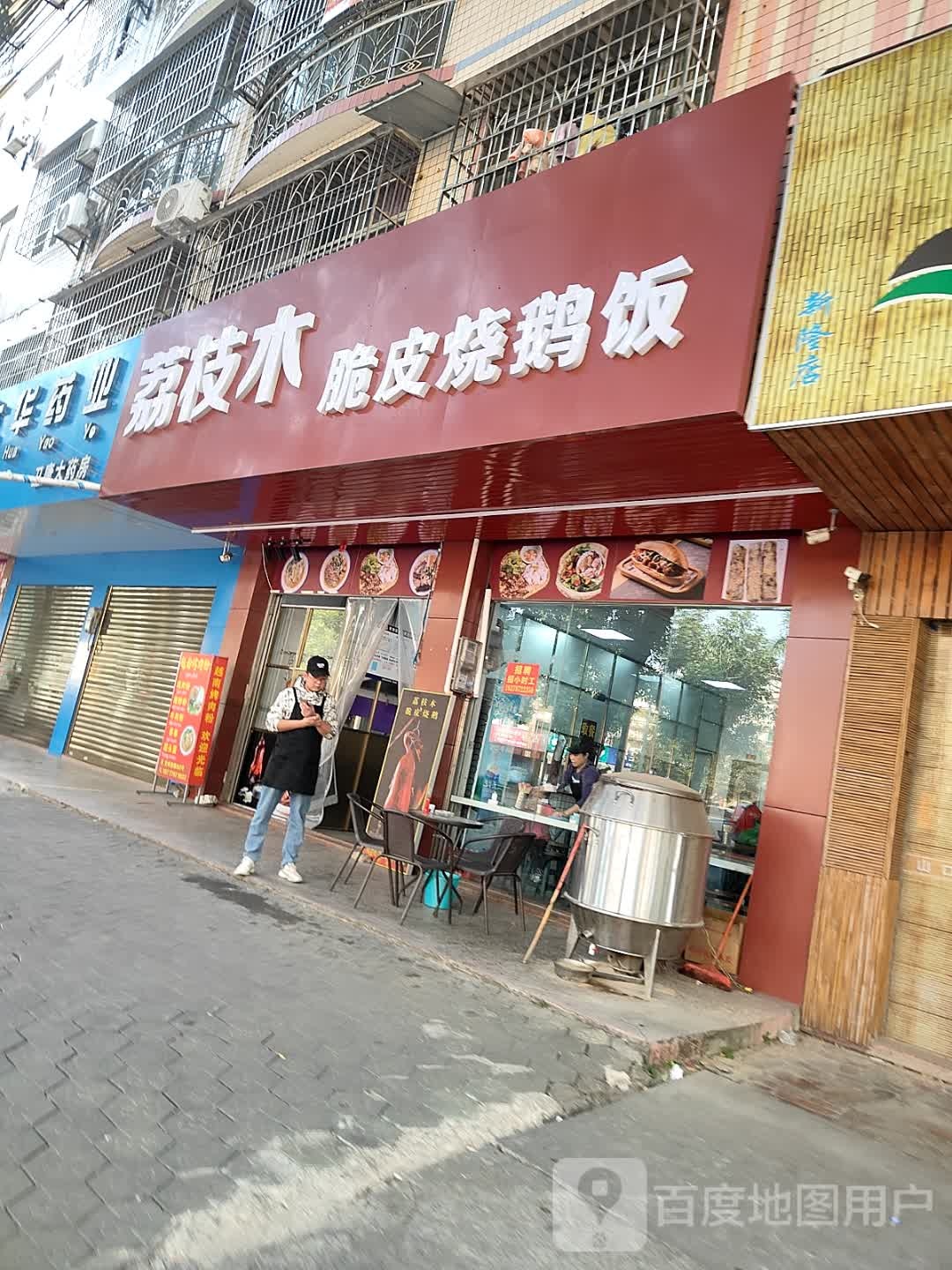 荔枝木脆皮烧鹅饭