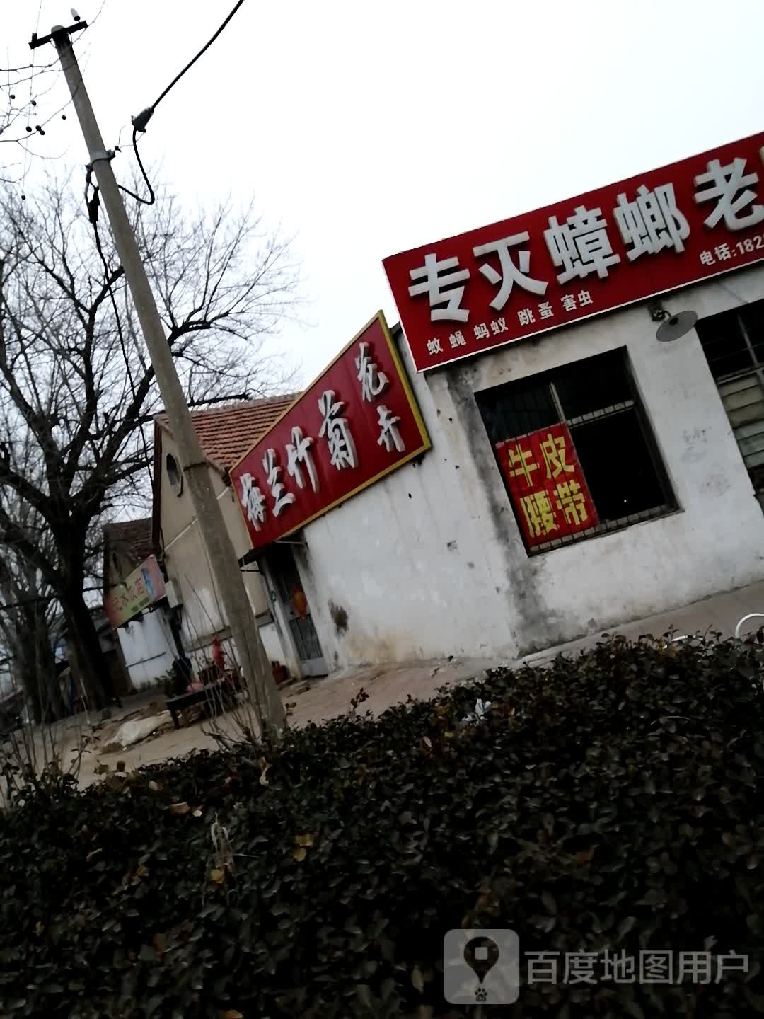 梅兰竹橘花卉