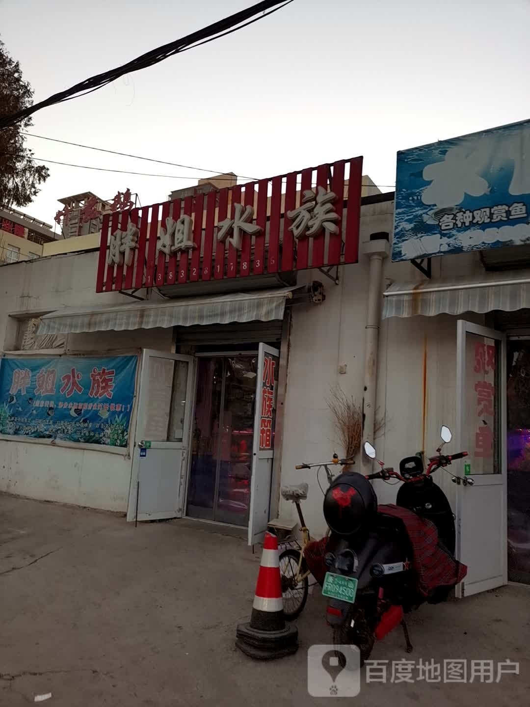 胖姐水族