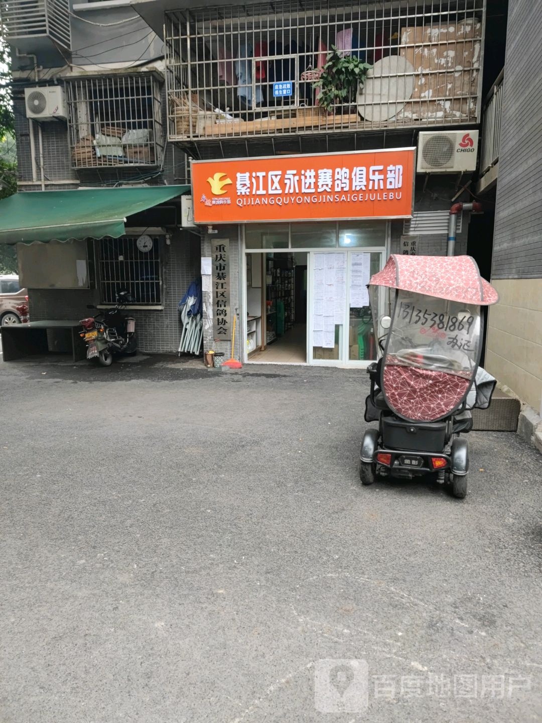 綦江区永进赛鸽马俱部