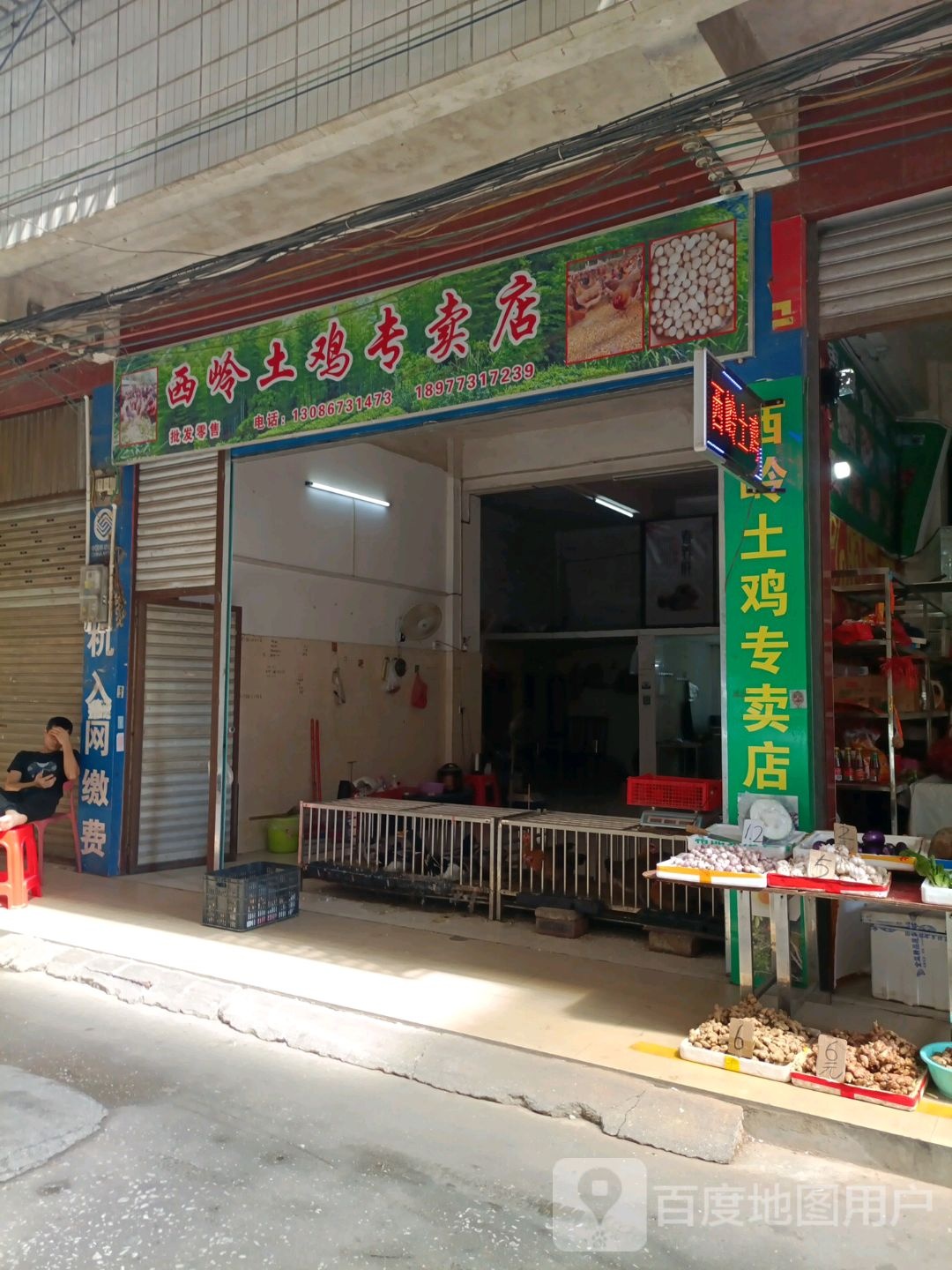 西岭土鸡专卖店店