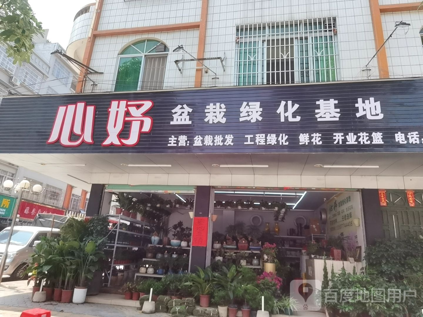 心妤盆栽绿化基地
