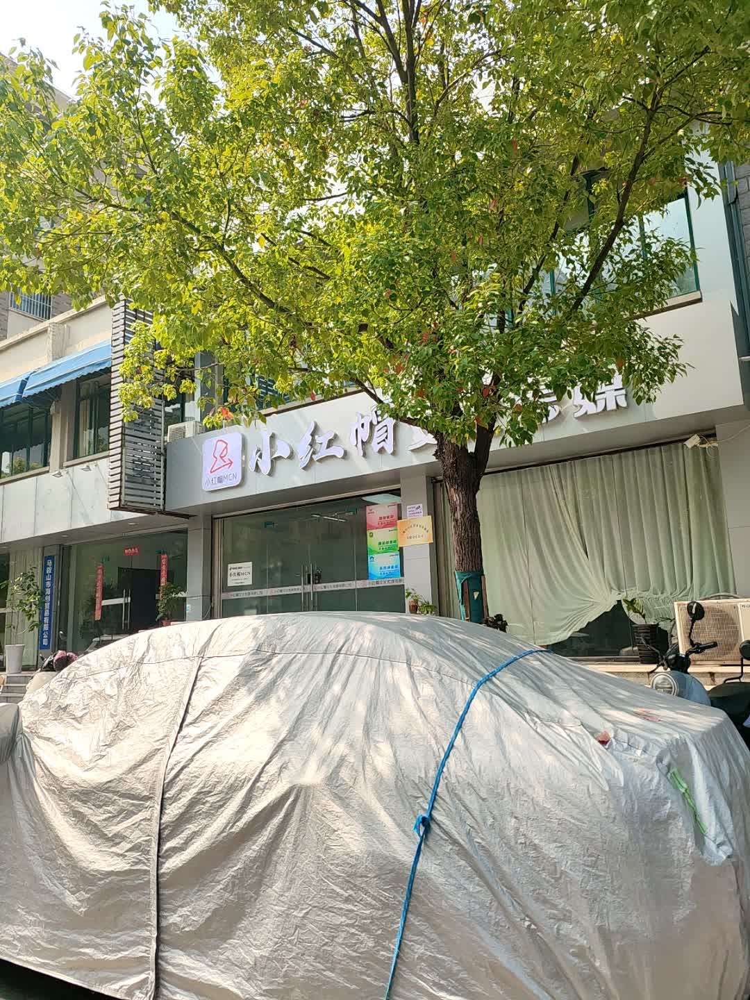 小红帽文化传媒