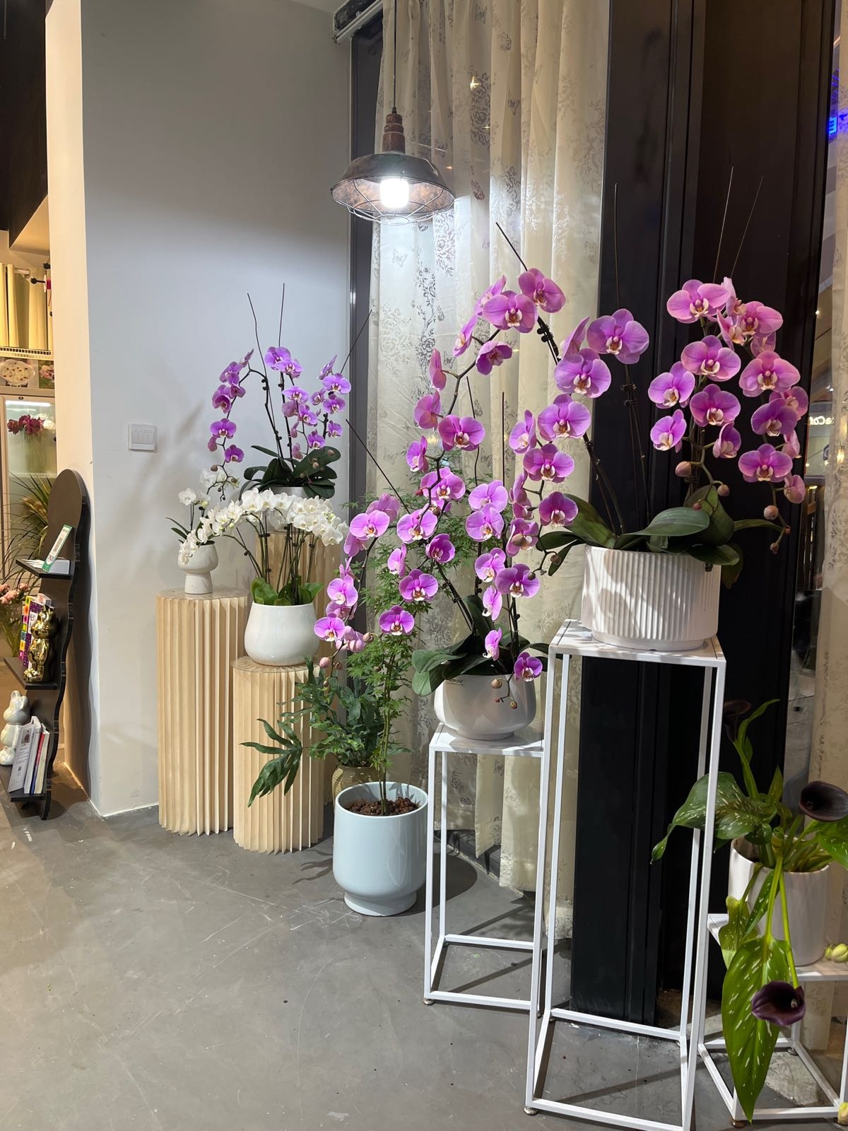 七号花舍(喀斯特城市广场店)