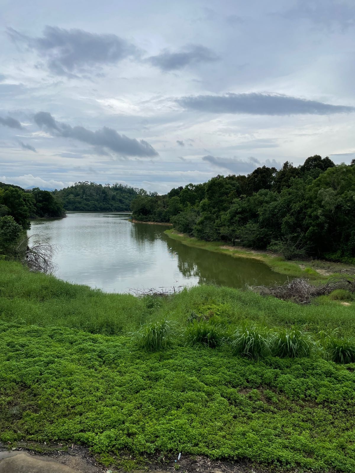 平湖生态园