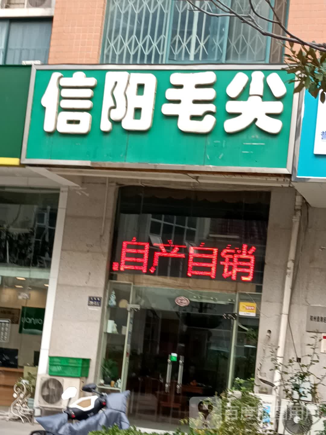 信阳毛尖(玉凤路店)