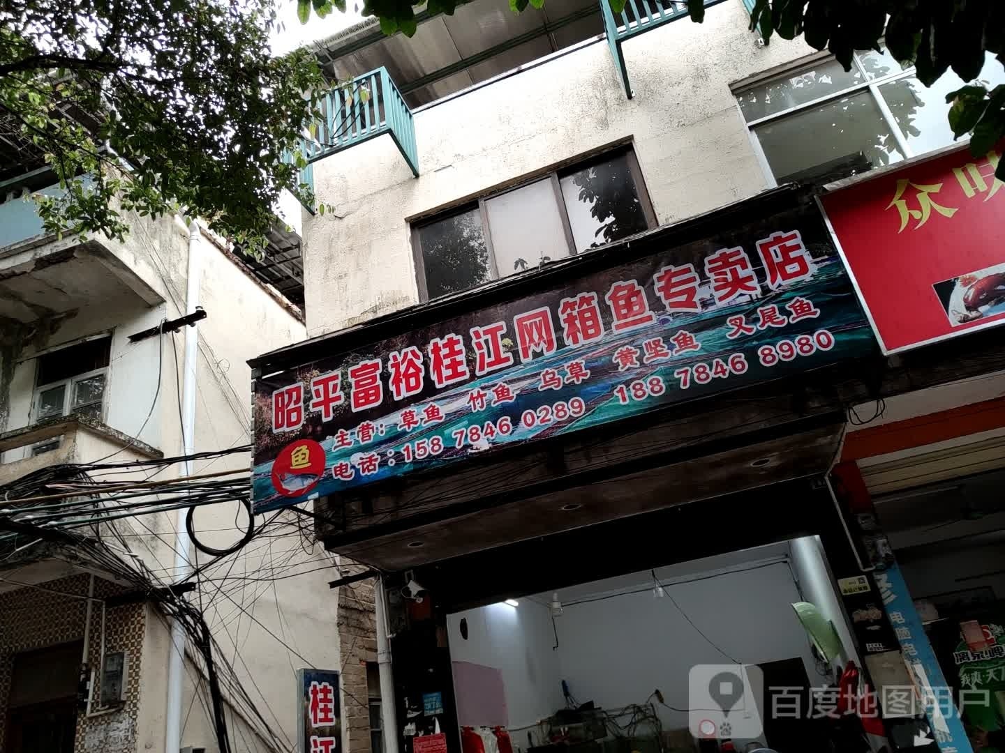 昭平富裕桂江网箱鱼专卖店