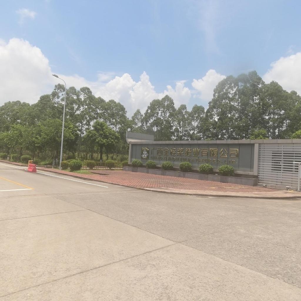 广西金桂浆纸业有限公司