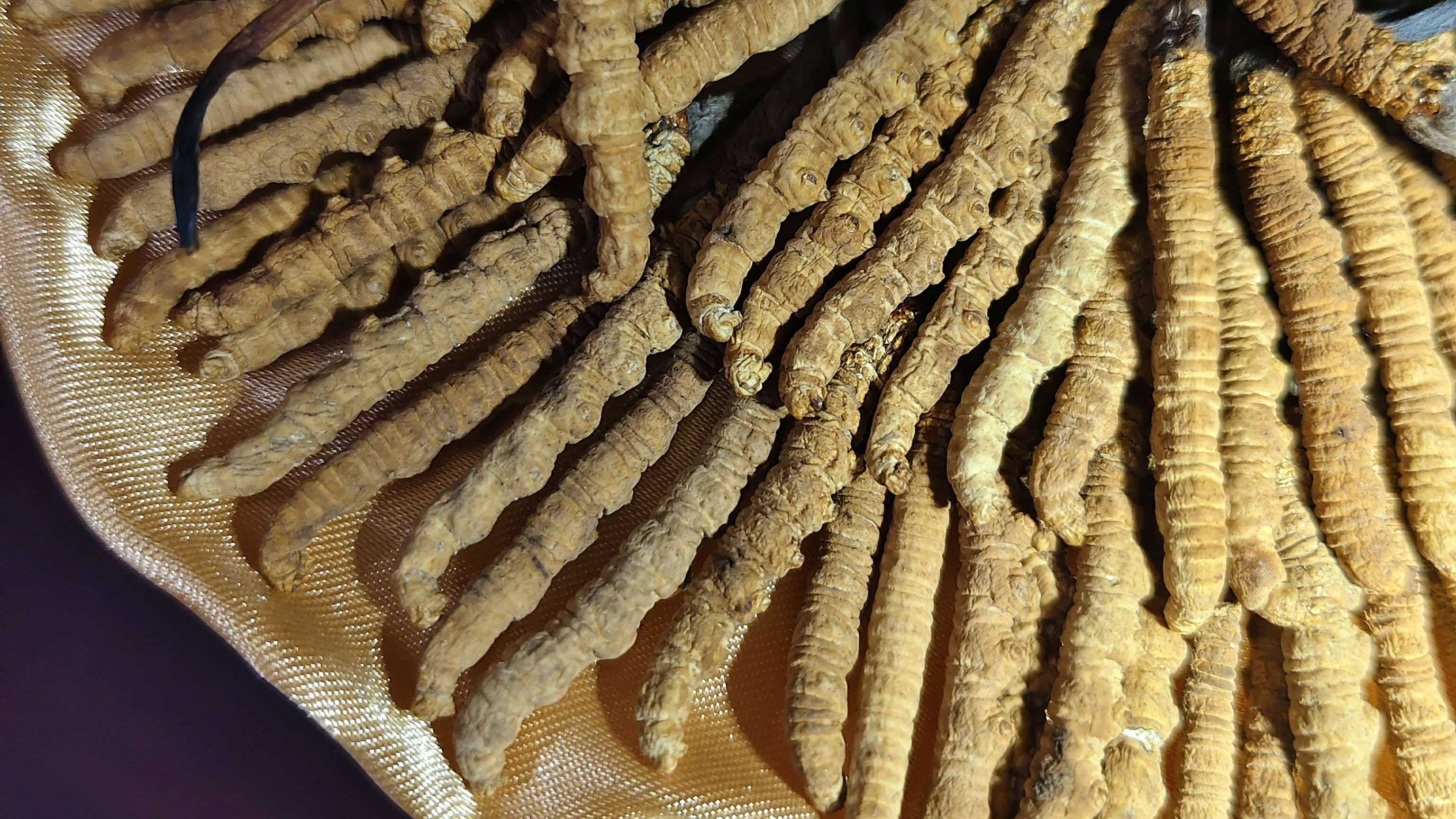 三亚弘发名酒名礼回收