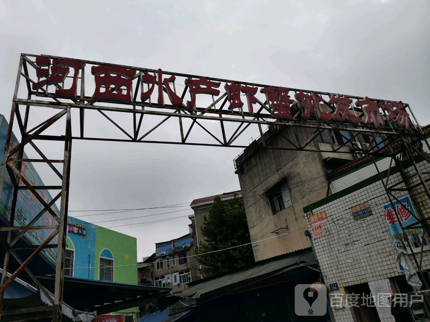 河西敬三尺水产海鲜批发大市场(望新路店)