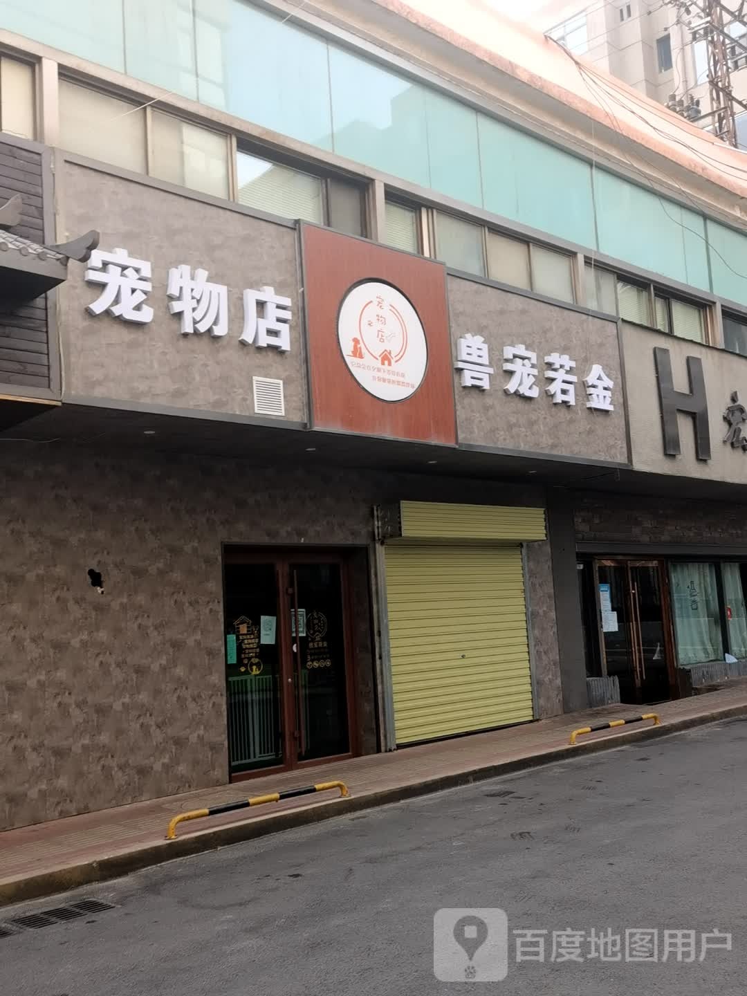 宠物店兽宠若金