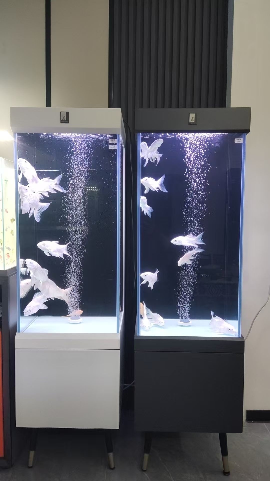 仟湖水族馆