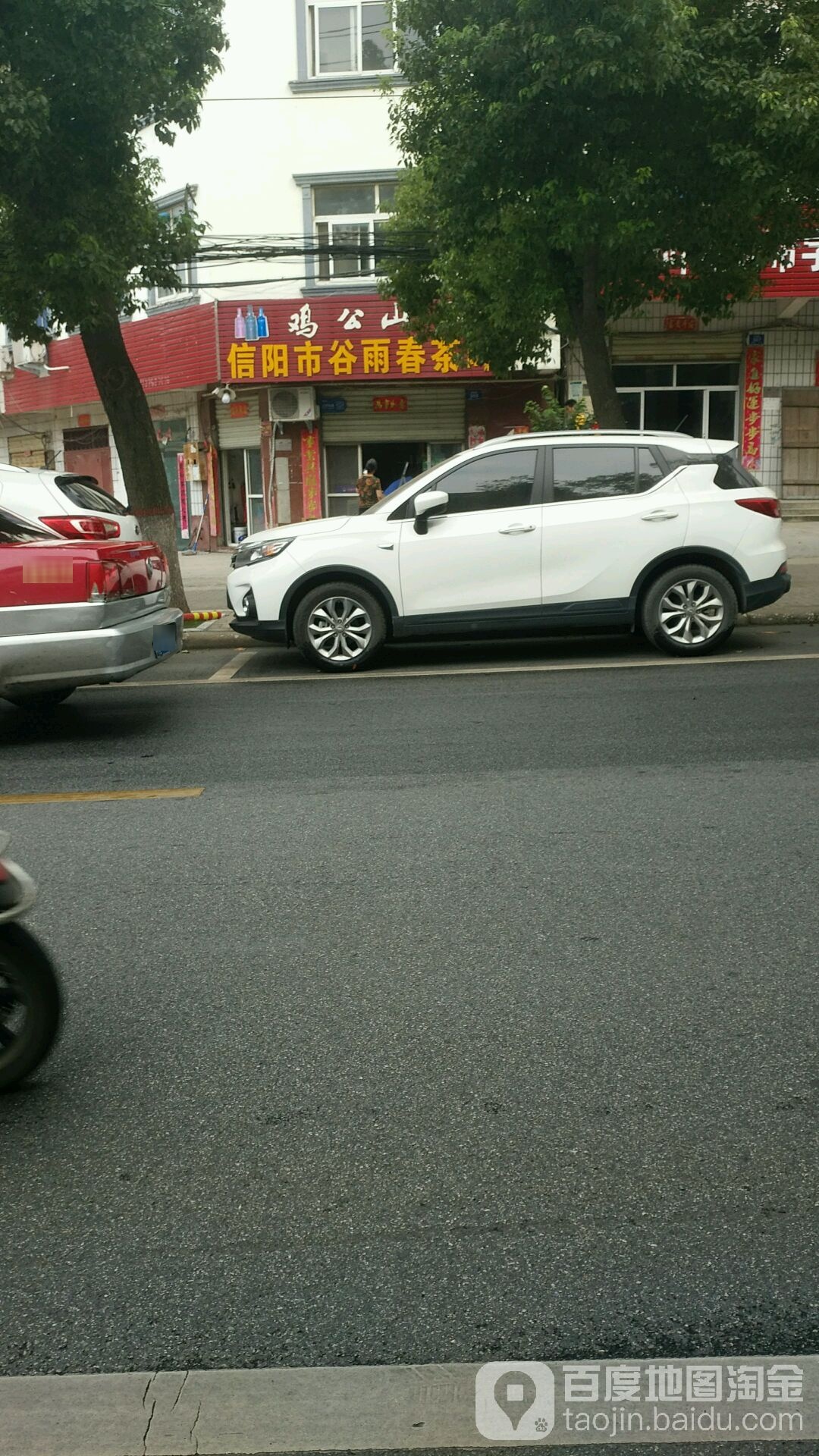 信阳市谷雨春茶叶