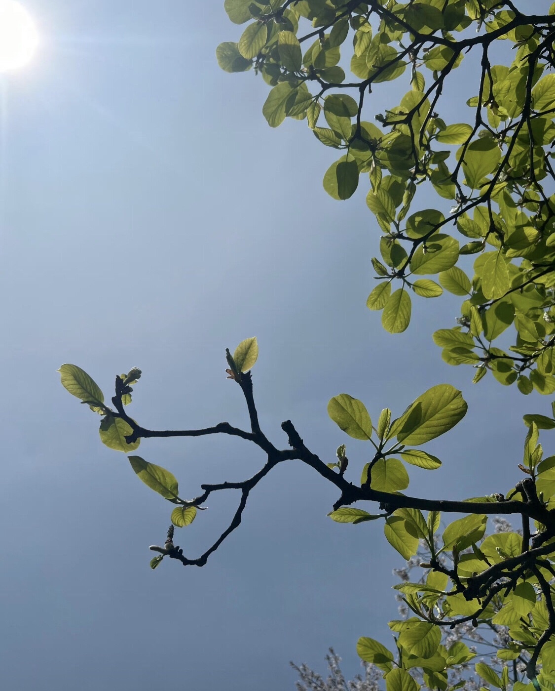 诺贝尔湖公园
