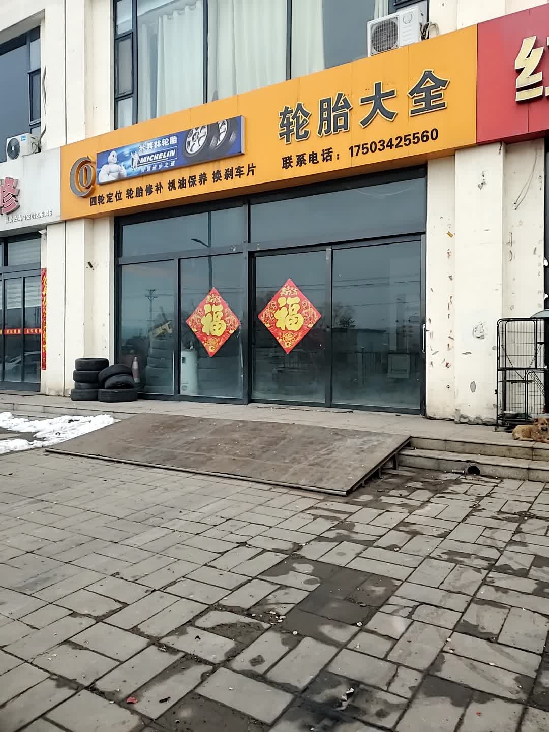 轮胎大全
