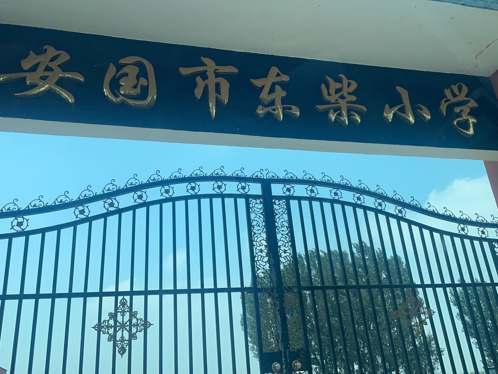 安国市东柴小学