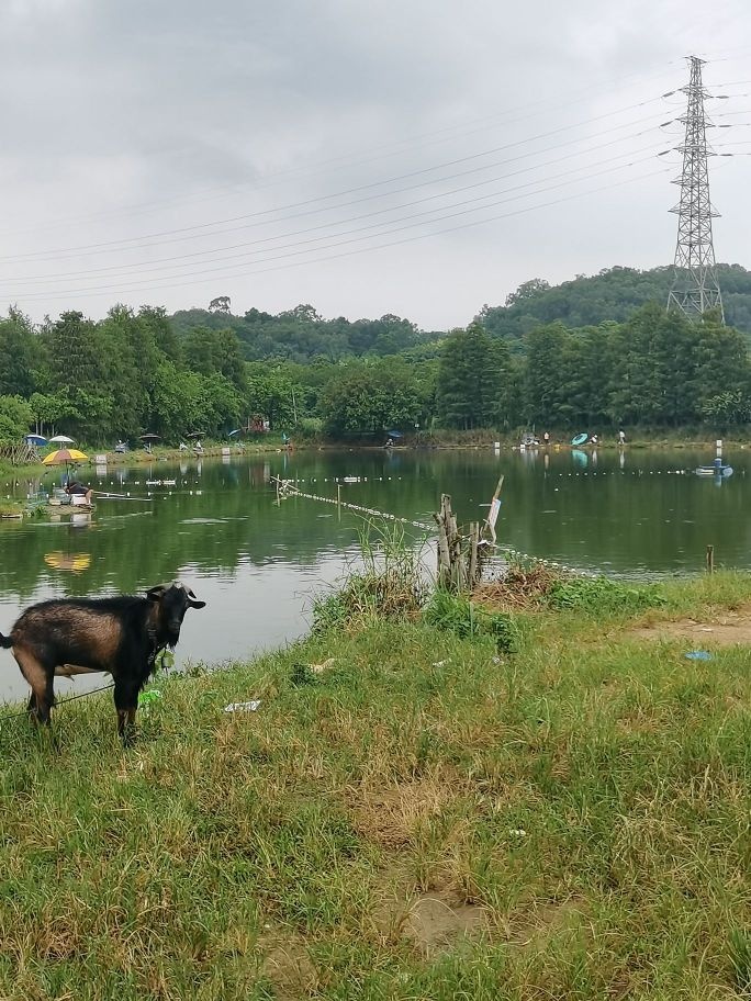马尔代芙垂钓园