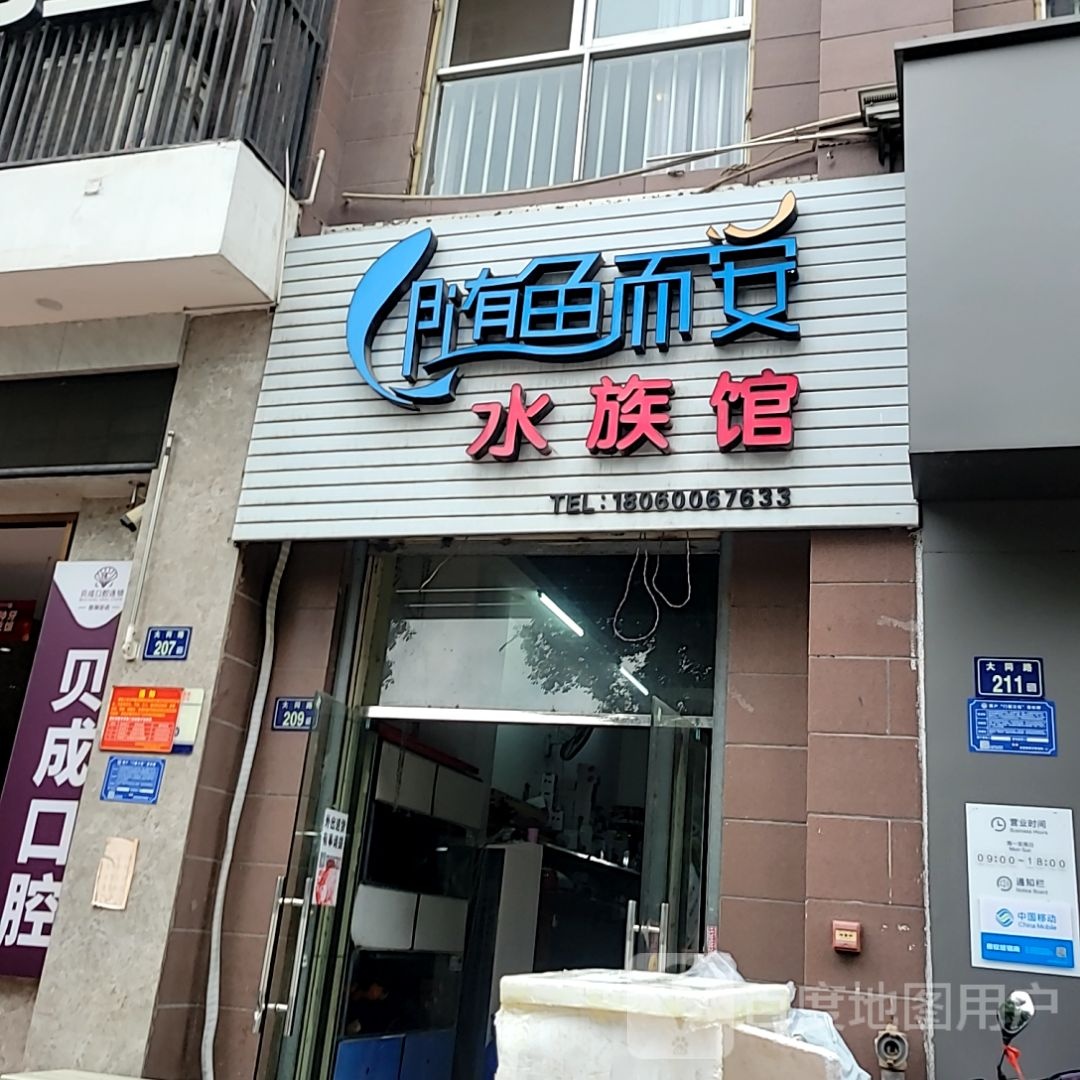 鳝安芭随而鱼水族馆