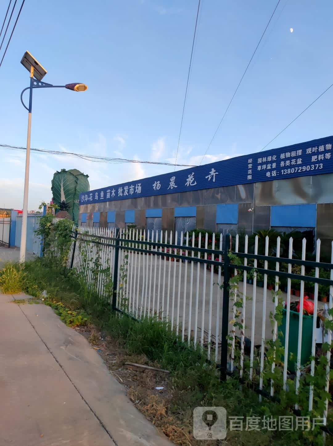 乛蔬菜批发市场