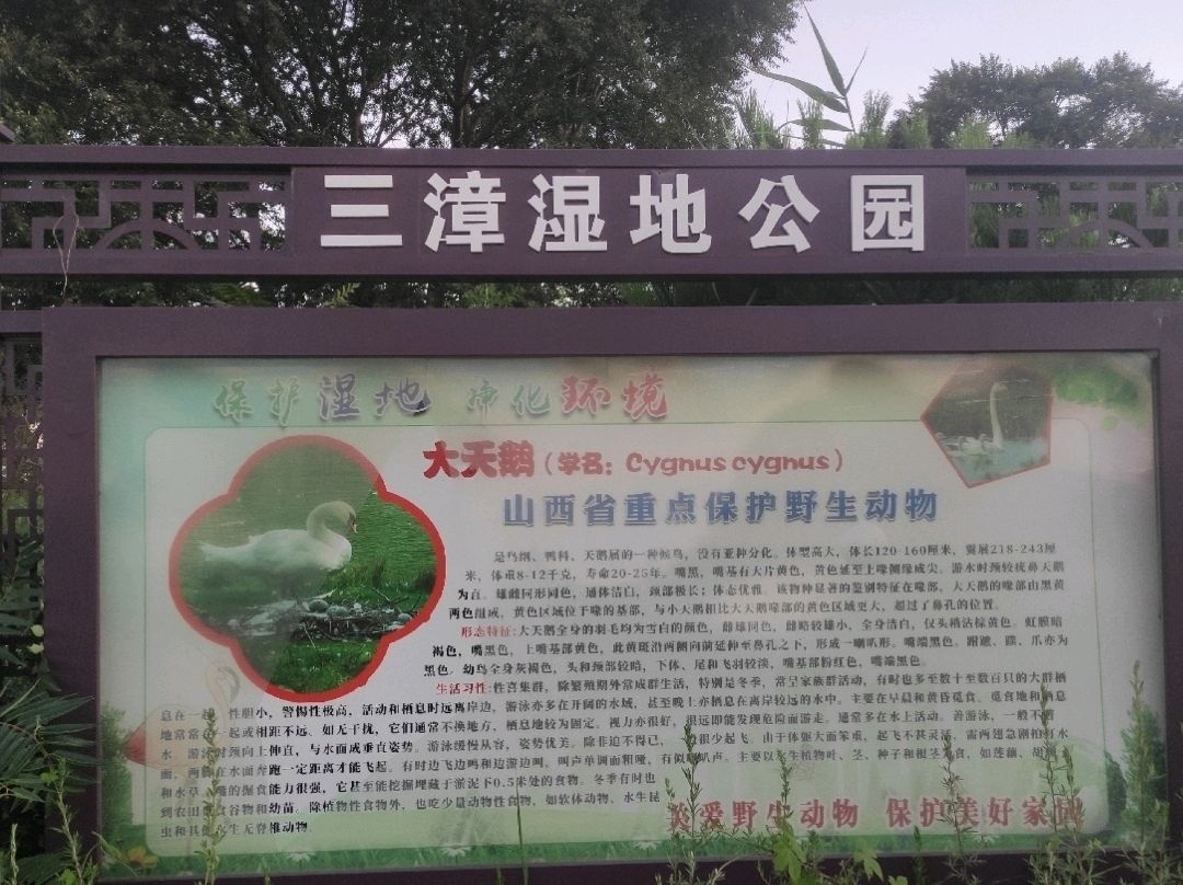 三漳湿地公园