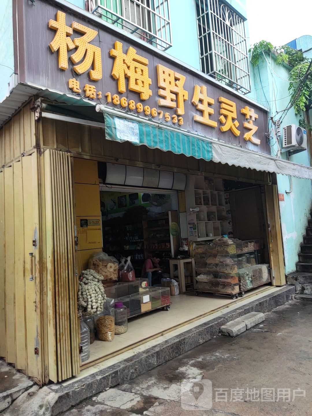 杨梅野生灵芝店