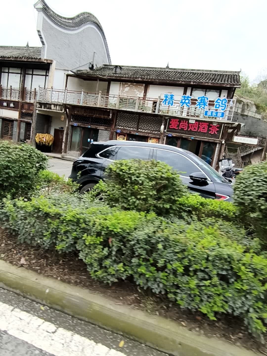精英赛鸽俱乐部