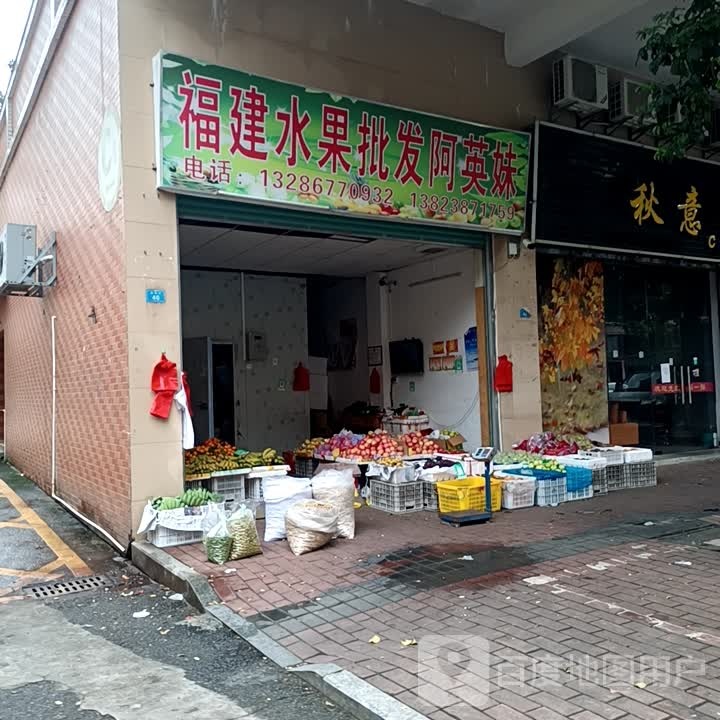 福建水水果批发阿英妹