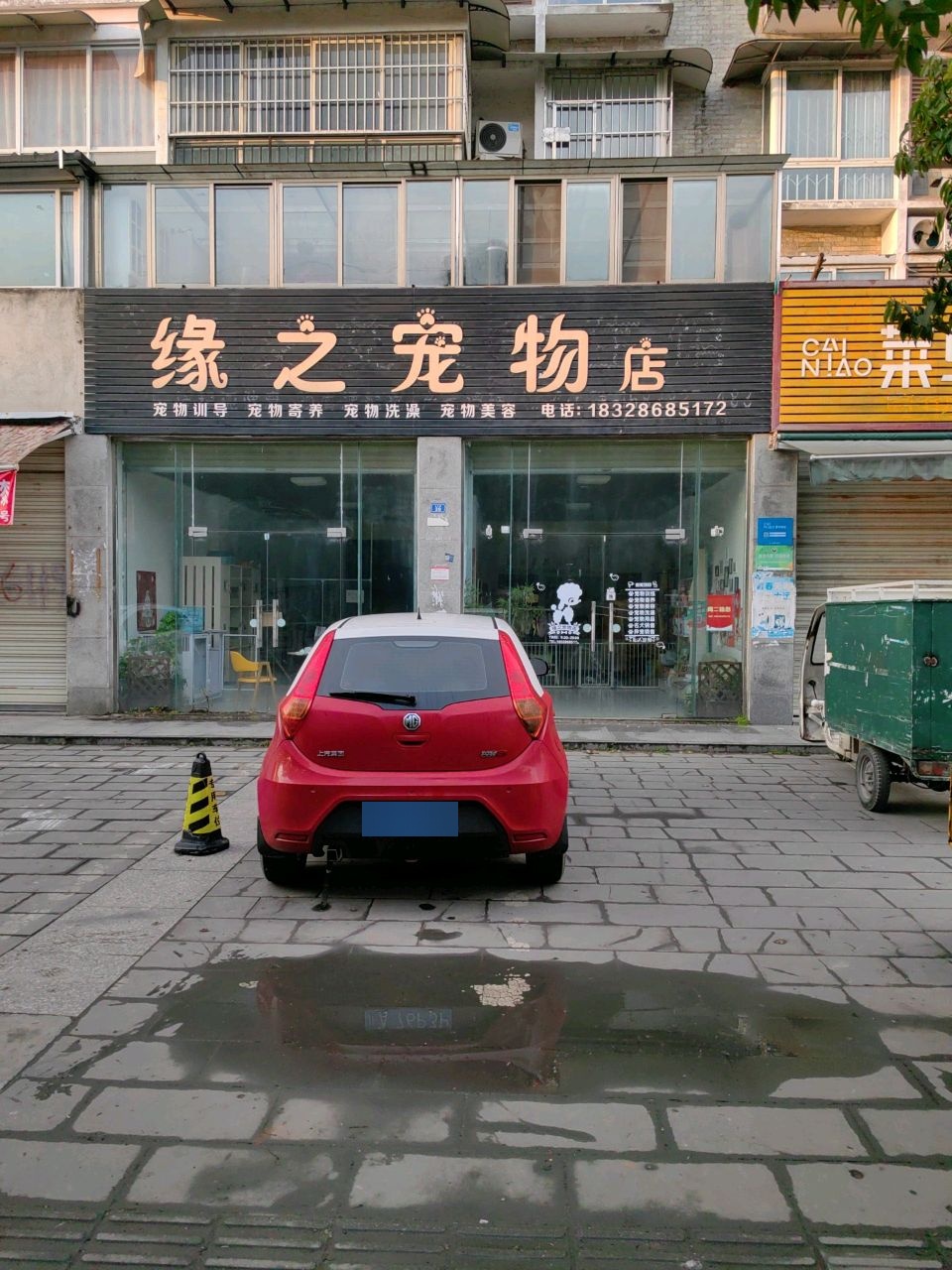 缘之宠物店
