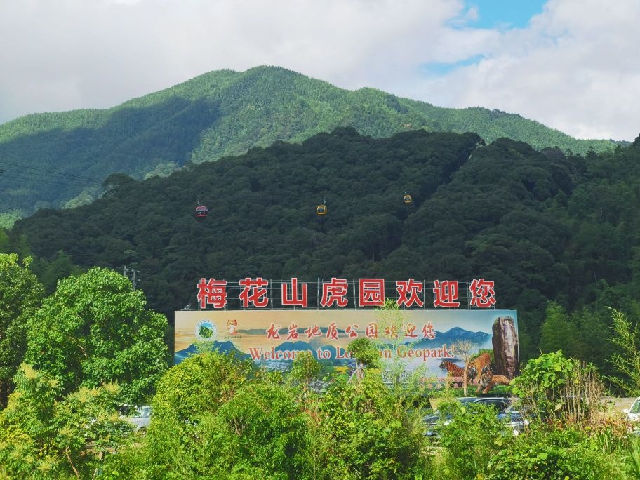 梅花山路虎园游客中心-售票处