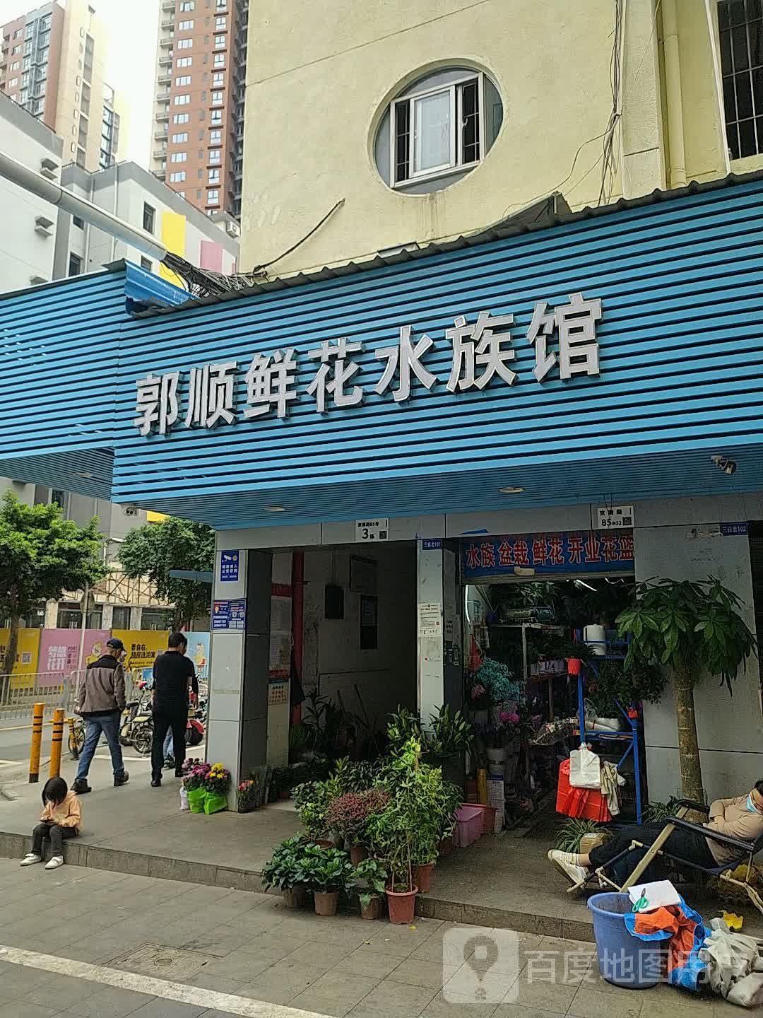 郭顺鲜花水族馆(联创商业街店)