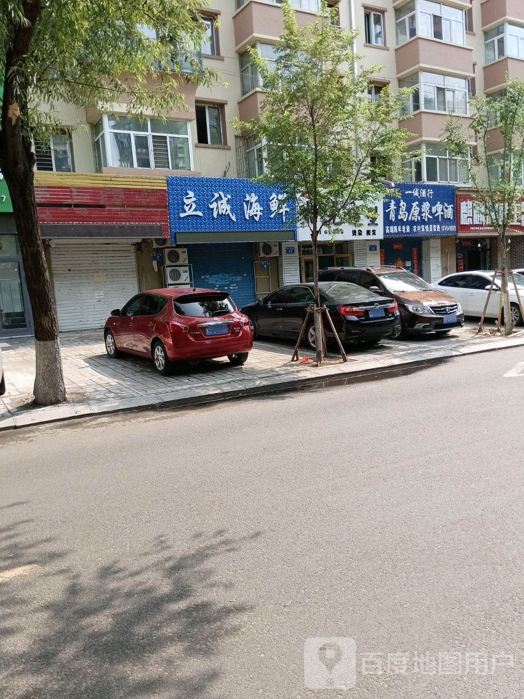 诚惘纭酹立海鲜