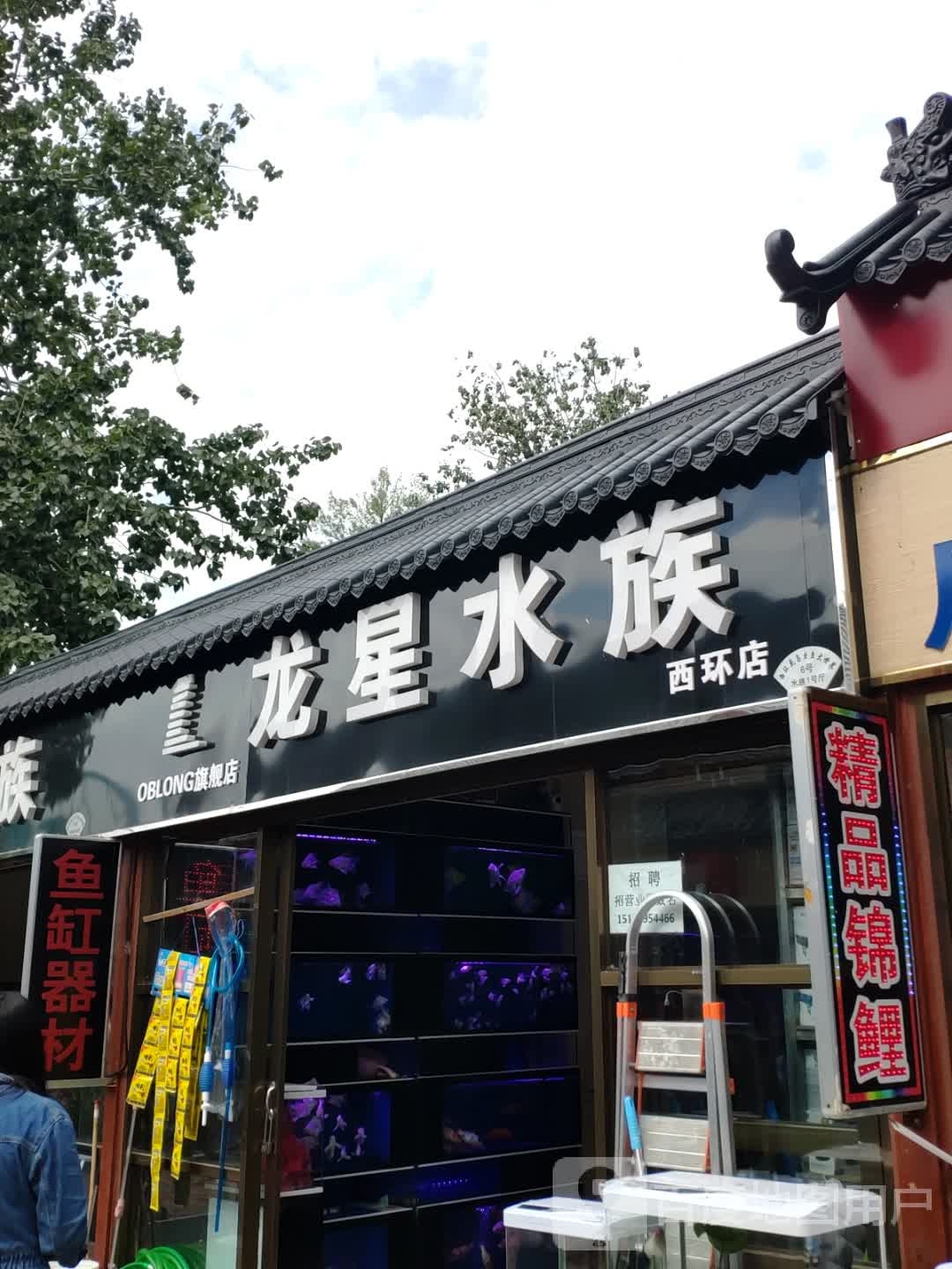 龙星水族(西环店)