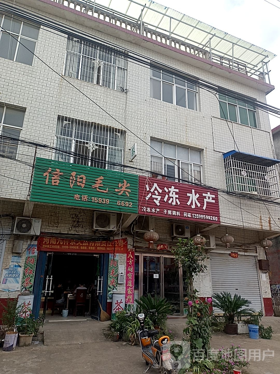 息县项店镇信阳毛尖