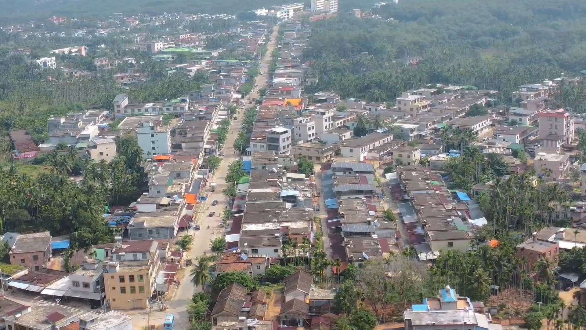 海南省国营东岭农场