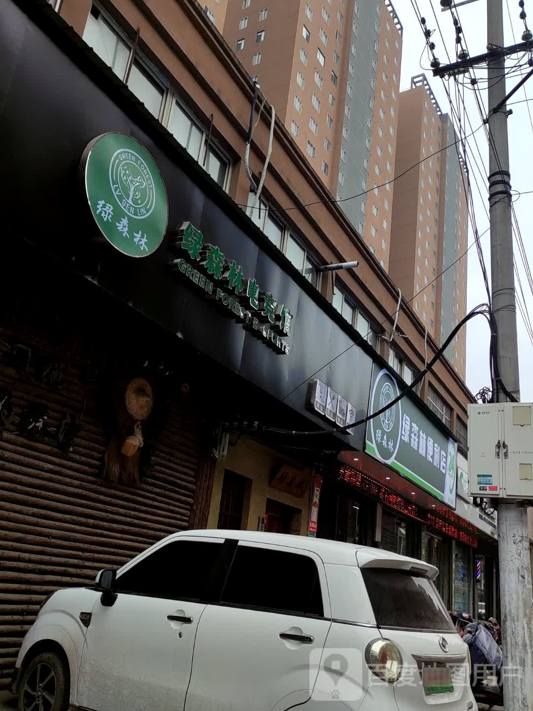 绿森林便利店(洪河路店)