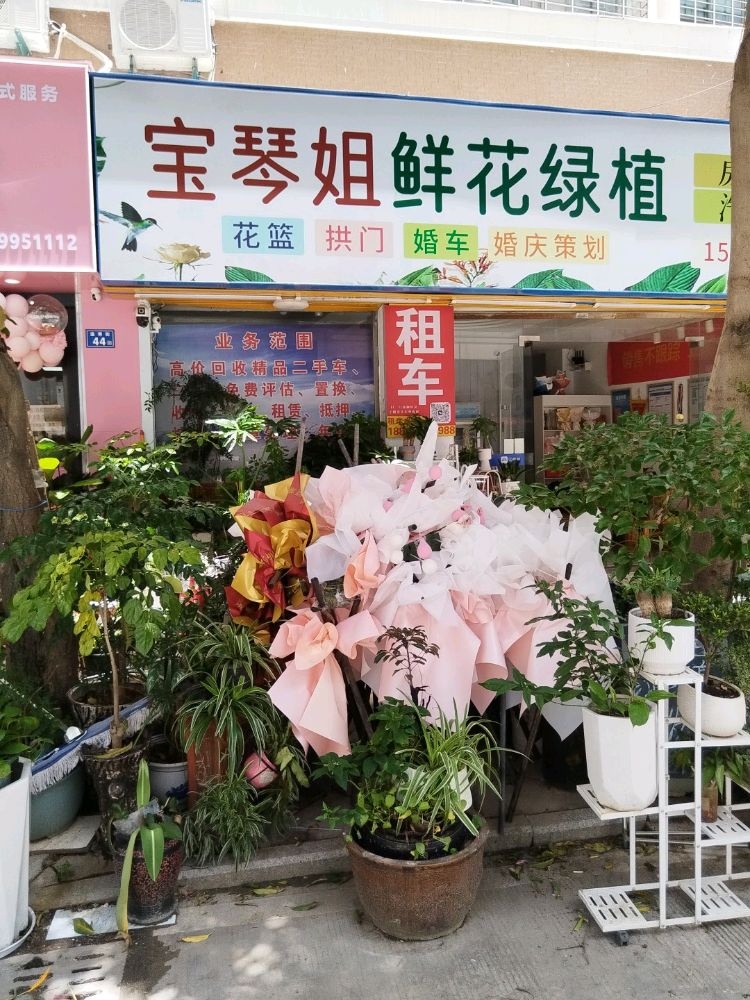 宝琴姐鲜花绿植