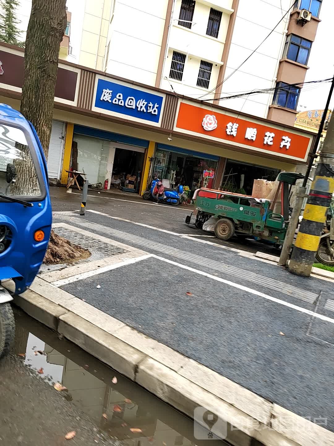 钱鹏花卉