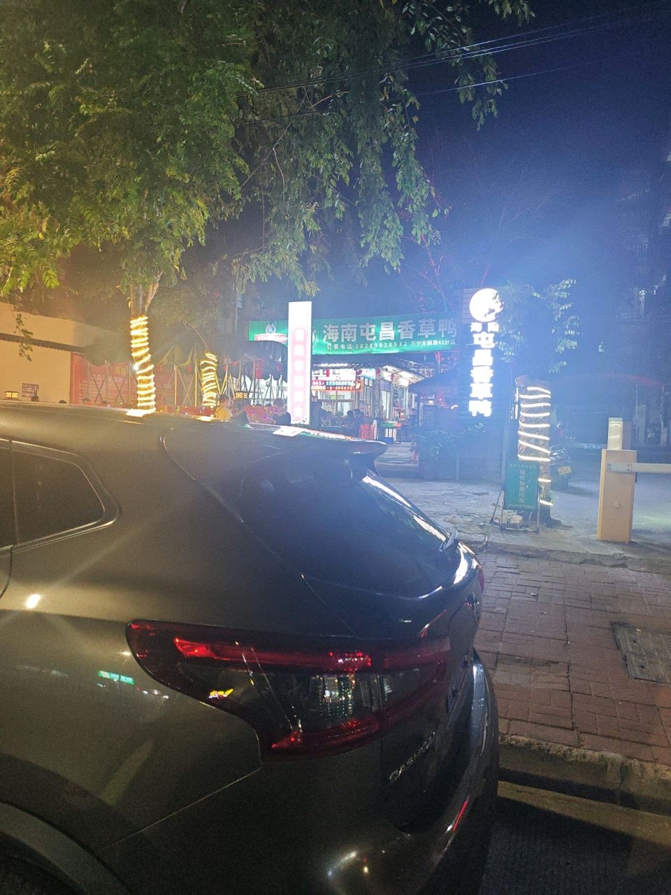 海南屯昌香草鸭41分店(光明北路店)
