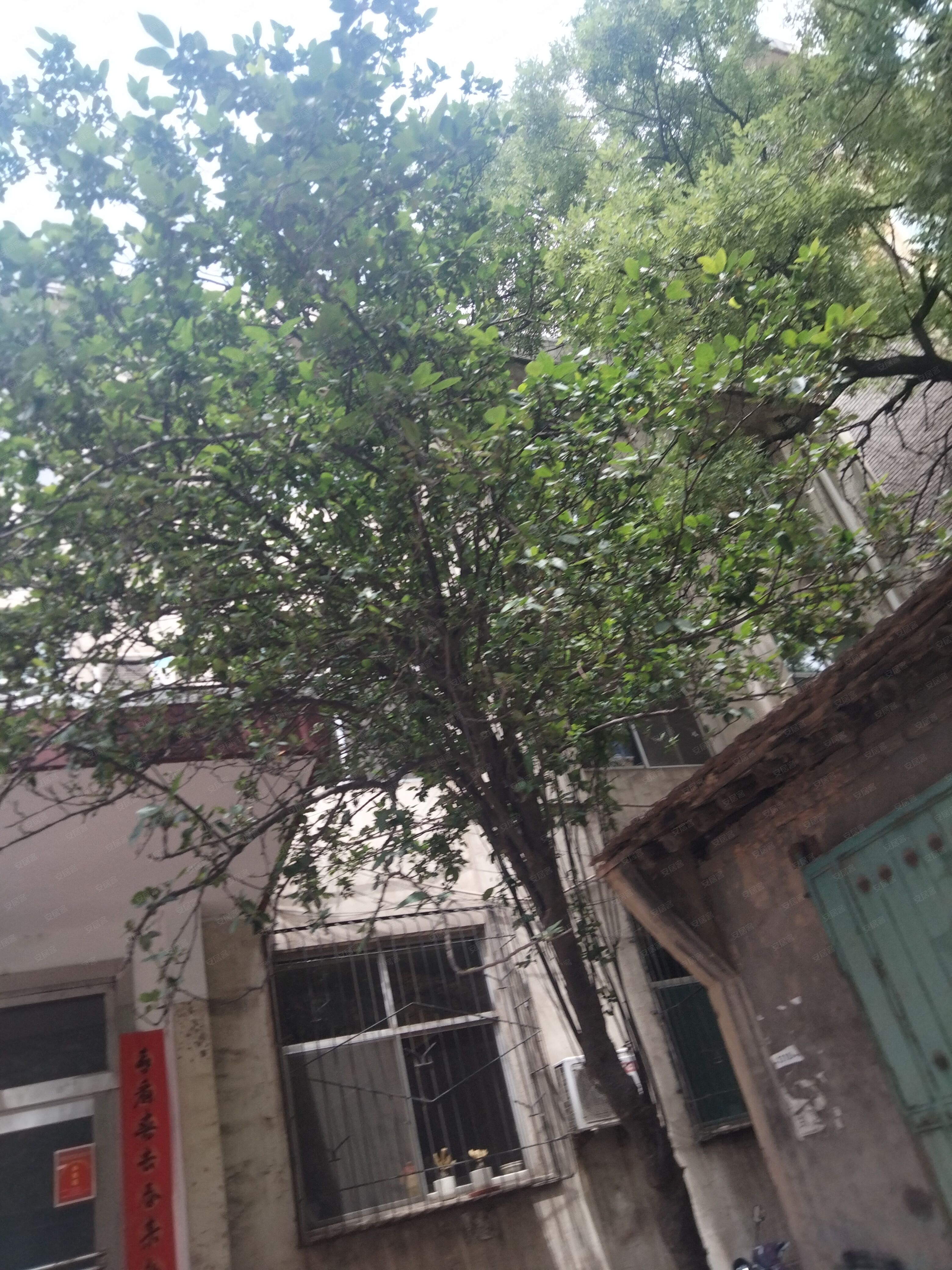 临汾市农委居民小区-1号楼