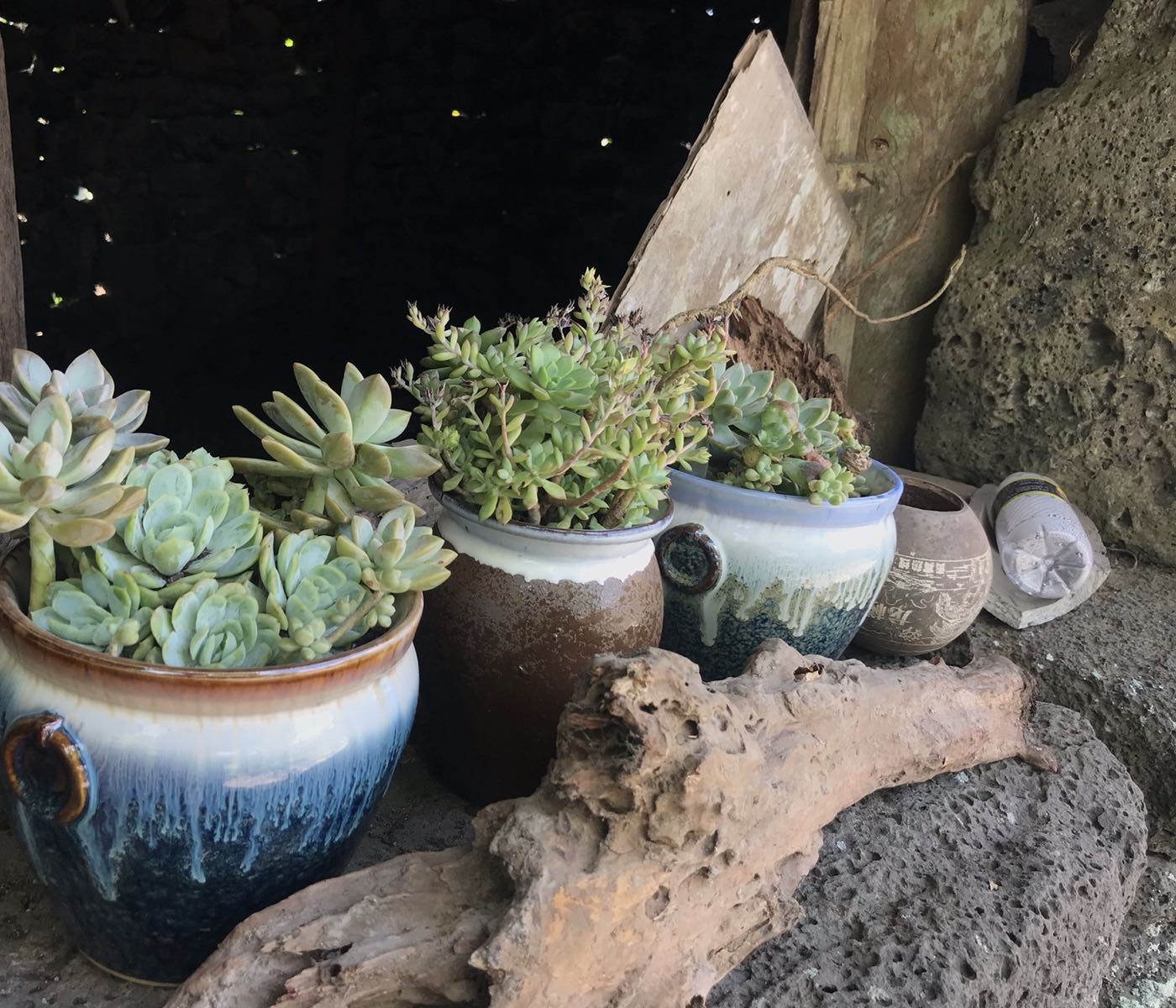 羊山美孝火山文化旅游区