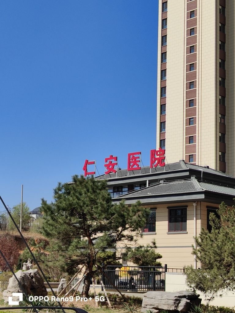 金地·仁安医院