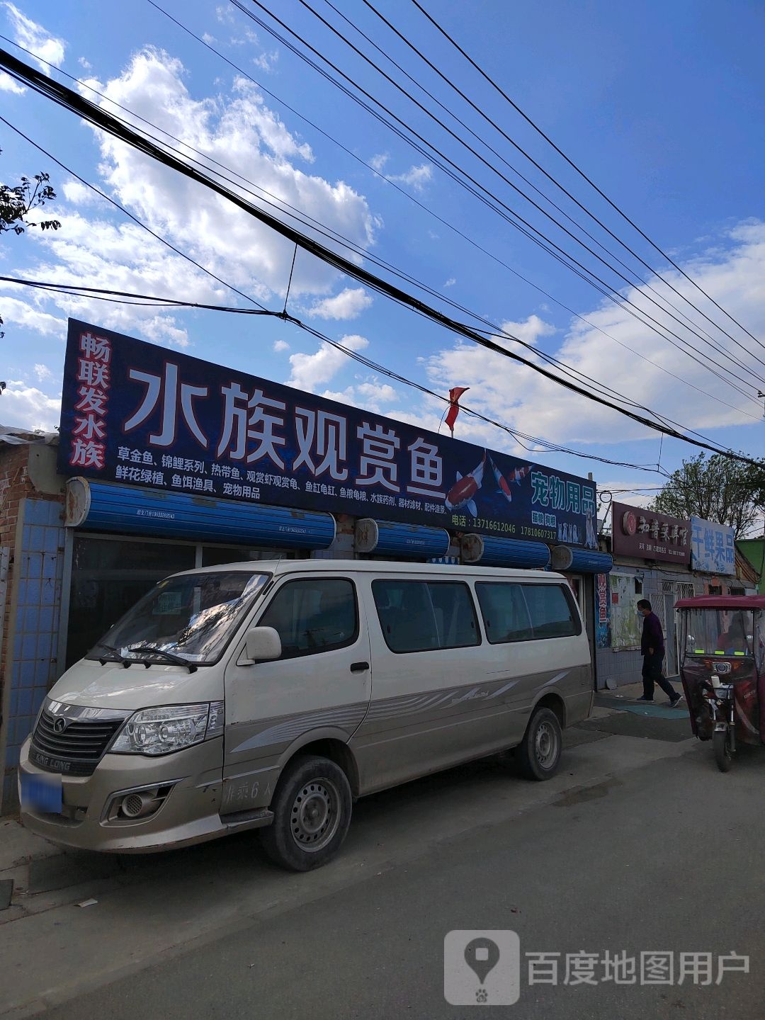 水族观赏鱼