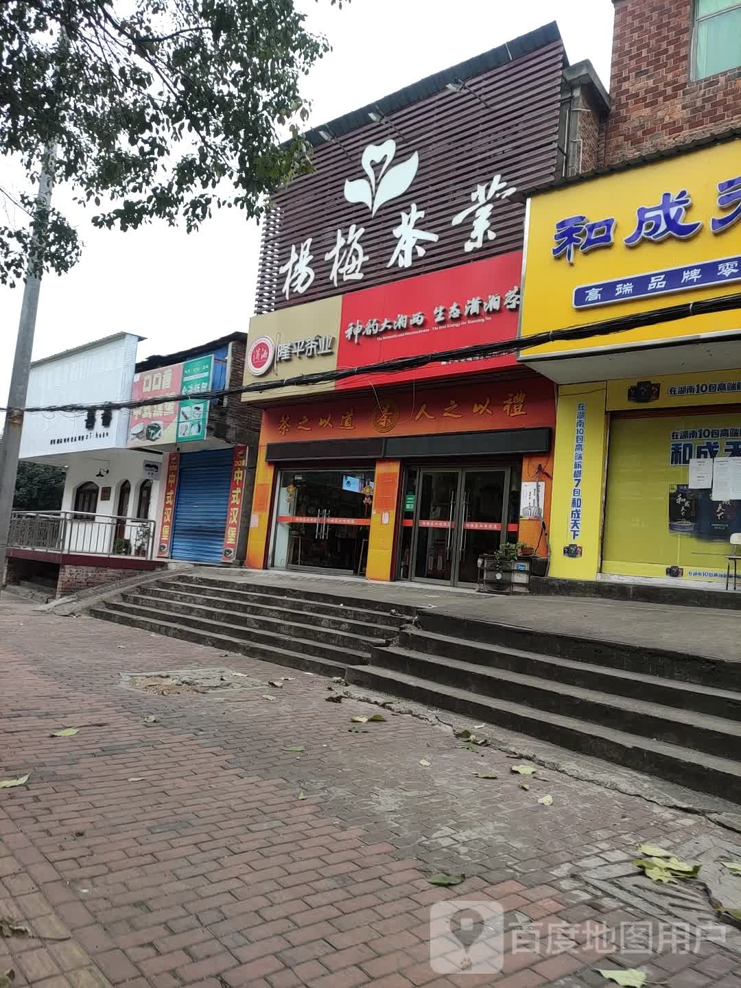 杨梅茶业