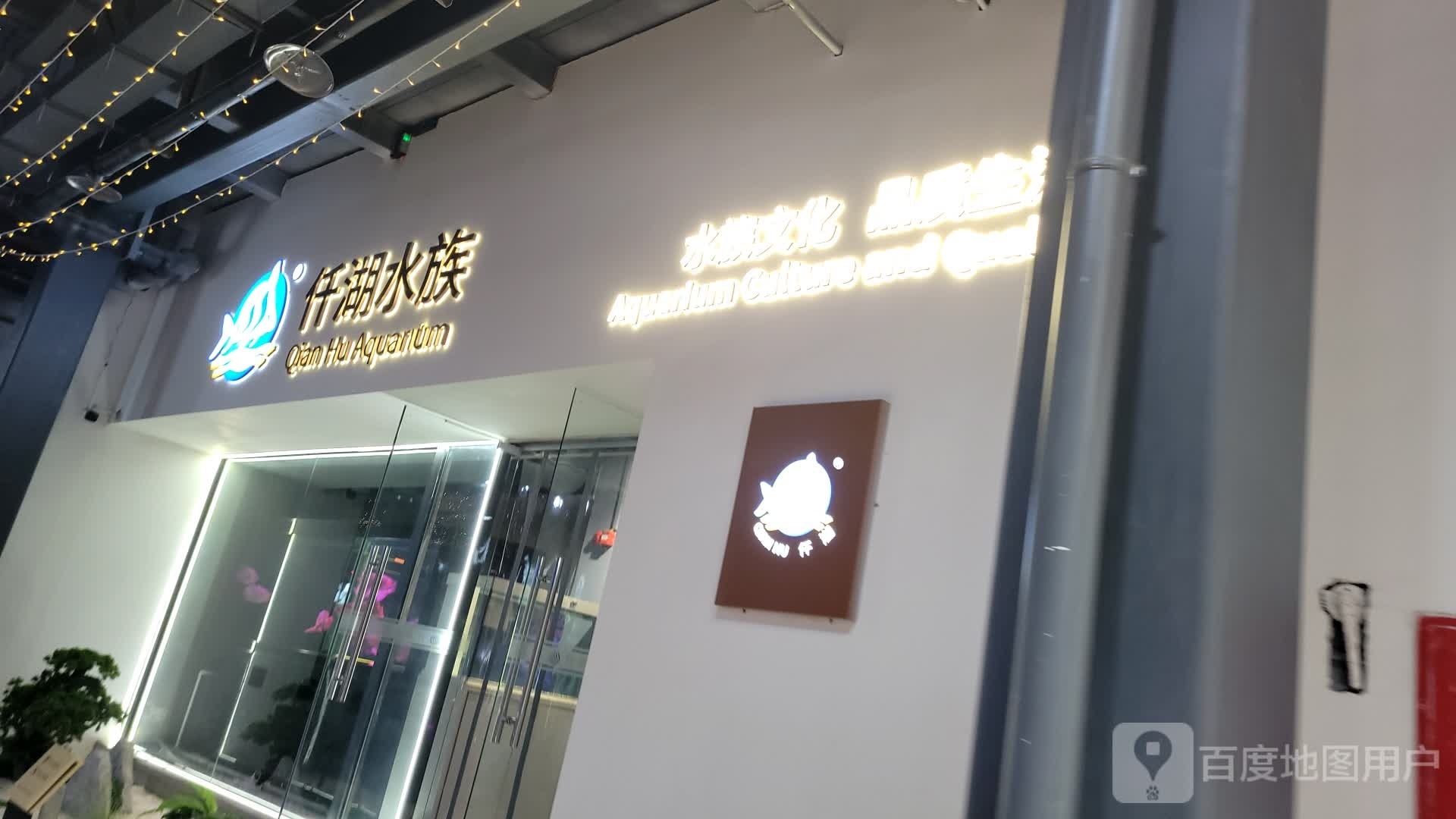 仟湖水族(民洁路店)