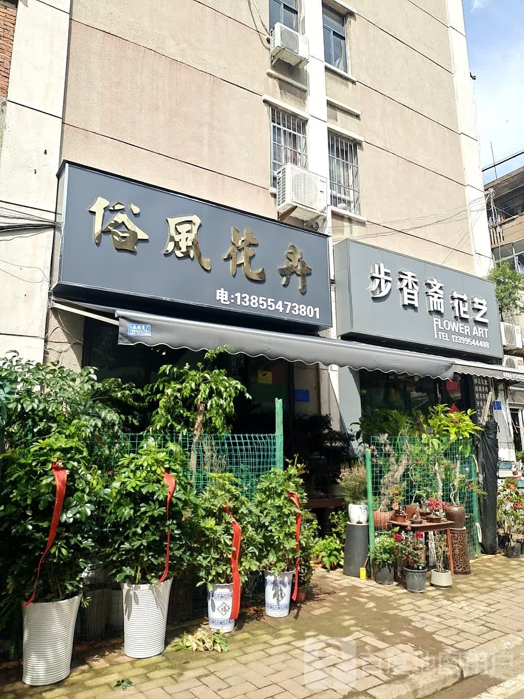 俗风花卉