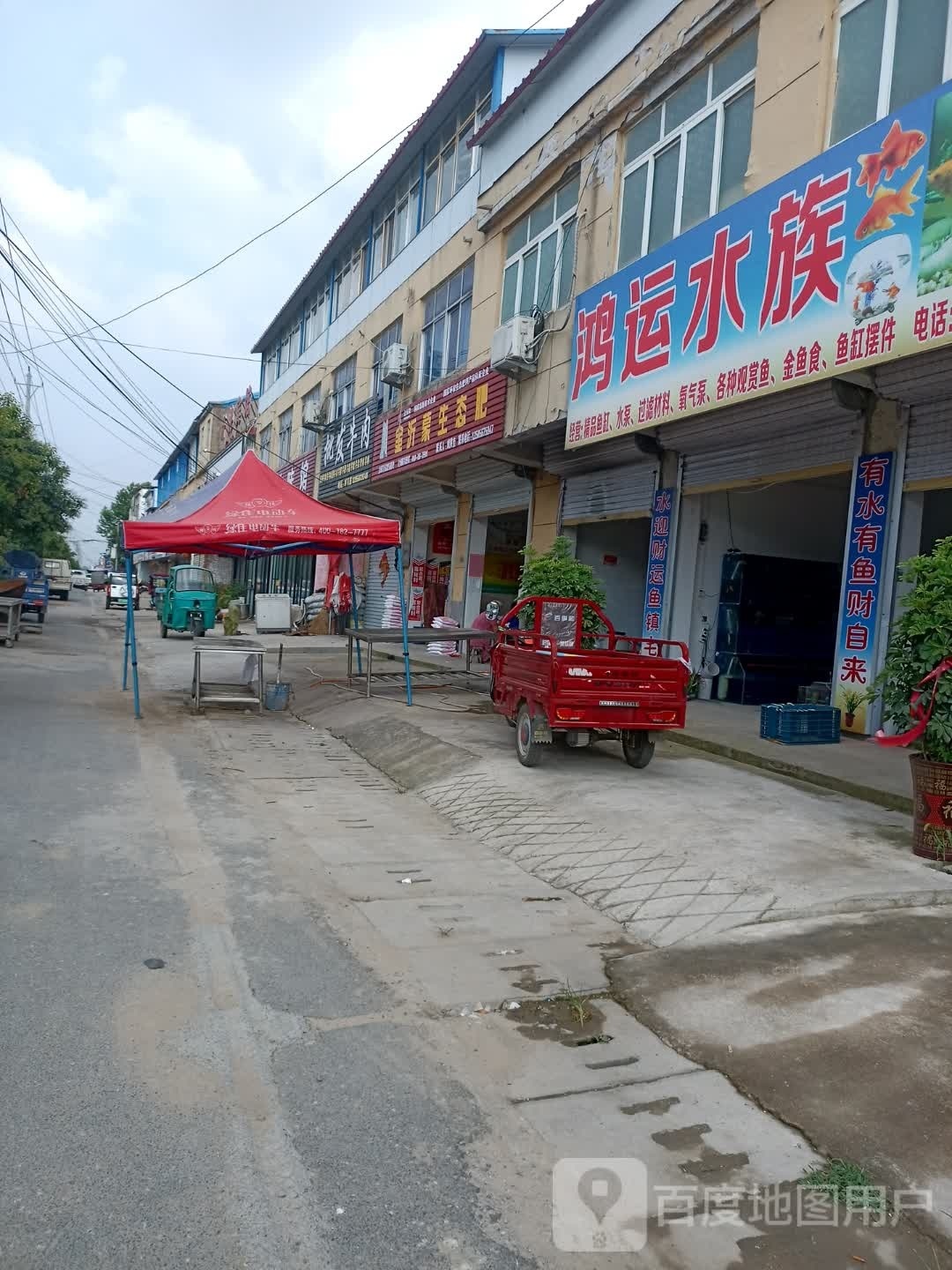 鸿运水族