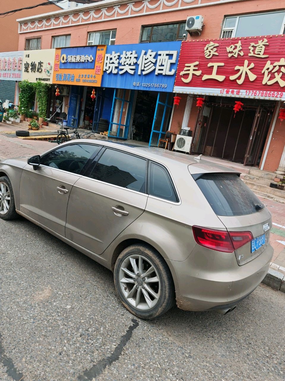 大福宠物店